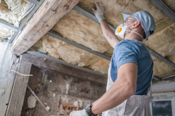 Best Commercial Insulation in Wellford, SC